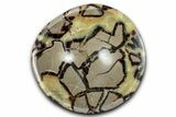 Eye-Eatching, Polished Septarian Dish - Madagascar #350227-1